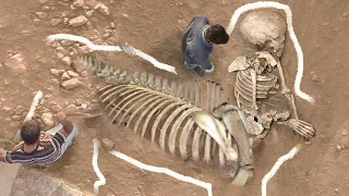 9 Most Bizarre Skeletons Ever Discovered!