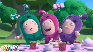 Oddbods Français | Pique-nique | Dessin Animé