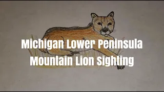 Cougar Sighting in Michigan's Lower Peninsula