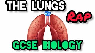 Science Raps: GCSE Biology - The Lungs