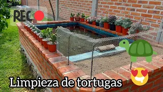 Día de limpieza profunda y más sobre tortugas,🌵🙂🐢