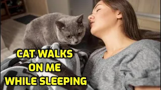 Why Do Cats Walk On You While You Sleep?