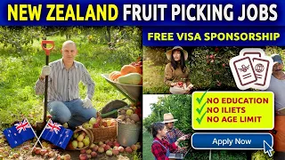Fruit Picking Jobs New Zealand | New Zealand Work Visa & Work Permit 2023