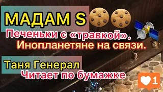 Мадам S провезла контрабандой печеньки с сюрпризом. Гуманоиды атакуют. Серфингисты. Таня Генерал.