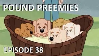 Pound Puppies - Pound Preemies - Episode 38 (FULL EPISODE)