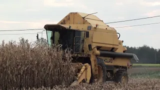 Landb. Tavernier - Zedelgem - New Holland TF 44 - 1987