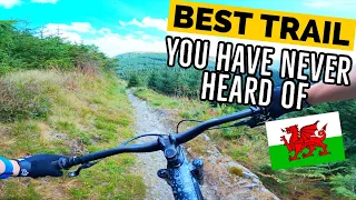 Penmachno -The Best of Welsh Mountain Biking!