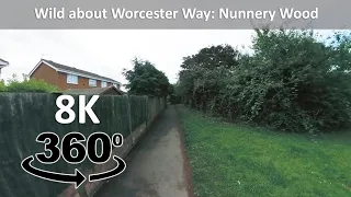 Wild about Worcester Way in 8K 360° VR: Nunnery Wood