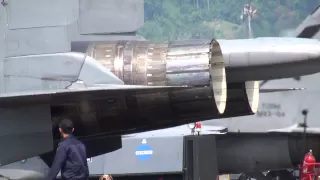 Su-30 MKM thrust vectoring nozzles
