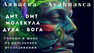 ДМТ молекула духа. (хорошее качество) Учёные прошли церемонии Аяваска. аяваска, аяхуаска, аяуаска