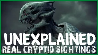 35 UNEXPLAINED SCARY CRYPTID SIGHTING HORROR STORIES (COMPILATION)