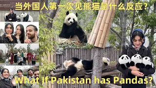 How did the Chinese save the Pandas from destruction? What if Pakistan had Pandas|Mahzaib vlogs(175)