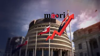 Big year ahead for Māori Party | Te Ao Mārama