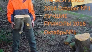 ЛУЧШИЕ ПРИКОЛЫ 2016 ОКТЯБРЬ ВЫПУСК 1 | Best Coub, Funny videos | ПРИКОЛ |