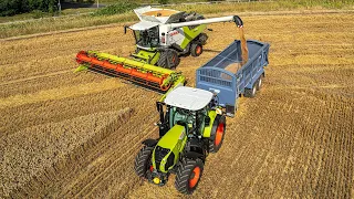 The New CLAAS TRION 750