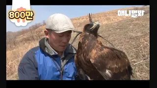 Man Who Gave A Sky To A Golden Eagle Who Couldn't Fly For 8 Years