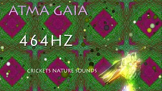 NATURE RELAX SOUND - CRICKETS SOUND WITH 464HZ COPPER FREQUENCY FOR DEEP SLEEP HEALING MEDITATION