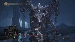 Darkeater Midir with Wolf Knight's Greatsword