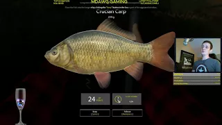 Russian Fishing 4 Beginner's Guide: Ideas on how to get started