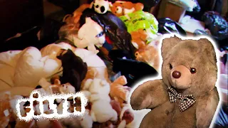 Fleas, Faeces and a Room Full of Teddy Bears