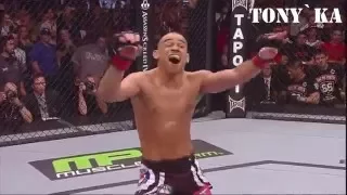 Renan Barao | nice knockout | by Tonyka