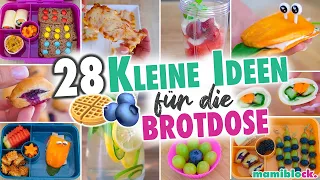 28 kleine Ideen für die Brotdose 🥯🫐⚡️| Einfaches Frühstück für Schule & Kindergarten | mamiblock