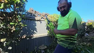 The WEIGHT of the VINE Broke the FENCE 😱🥱👌