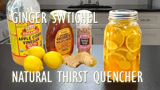 Ginger Switchel | Apple Cider Vinegar Tonic | Starts With Kitchen