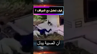 شاهد كيف تعامل هذا الصبي مع الكلب الذي هاجمه