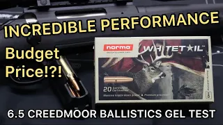 KILLS DEER CHEAP! 6.5 Creedmoor Norma Whitetail 140gr Ammo Test