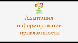 Адаптация приемного ребенка и приемной семьи.