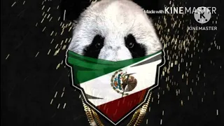 Panda Remix Extended version Spanglish . Desiiner X Eddy Lg #panda