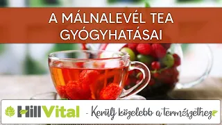 A málnalevél tea gyógyhatásai - HillVital