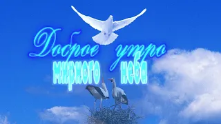 Мирного доброго утра.