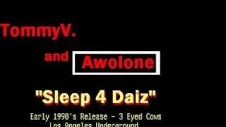 TommyV. / Awol One -  Sleep For Daiz  -  Sleep4days -  Original 90's release.