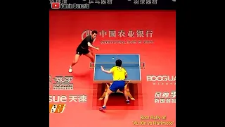 Best Action Xu Xin vs Harimoto