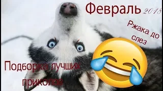 Лучшие приколы 2018  Февраль.Лучшая подборка смешных видео приколов #2