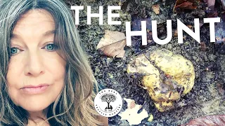 A Day in the Life of a White Truffle Hunter