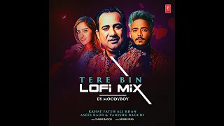 TERE BIN LOFI MIX _ (Remix By MOODY BOY)