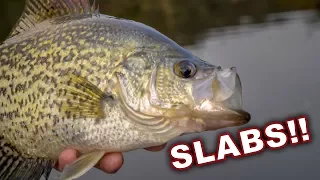 Huge SLAB Crappie On Every Cast!