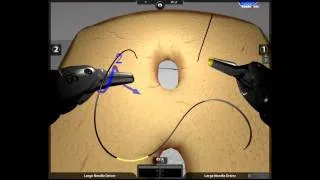 da Vinci Surgery - Skills Simulator - Vertical Defect