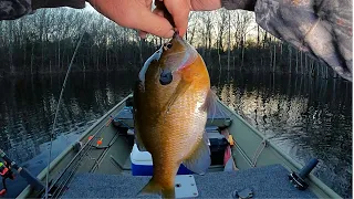 Catching Bluegills with night crawlers and  bobbers  -  Bream fishing