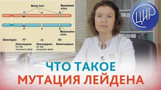 ЛЕЙДЕНСКАЯ МУТАЦИЯ. Что такое мутация Лейдена и как она влияет на гемостаз. Кочанжи М.И.