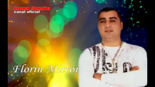 FLORIN MITROI - NOAPTEA RECE SI PUSTIE, ZOOM STUDIO