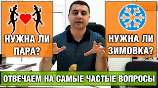 Зимовка змей и ящериц, как кормить, нужна ли пара и т.д. — Отвечаем на вопросы