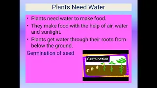 Grade 3 EVS Chp 8 Topic Plants and animals need water