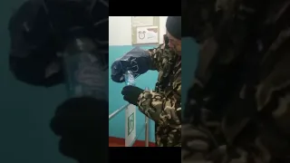 Гадюку поймали в школе села Первотроицк Каргатского района