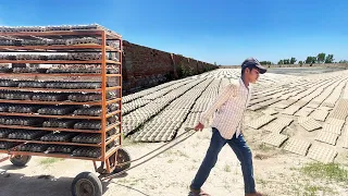 Incredible Process Of Making Egg Trays with Cardboard Waste in Factory | How Egg Trays are Made