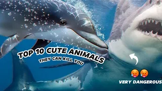 Top 10 Cute Animals That Could Kill You