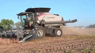 2022 Gleaner s96 first run with 9330 draper header in Wisconsin